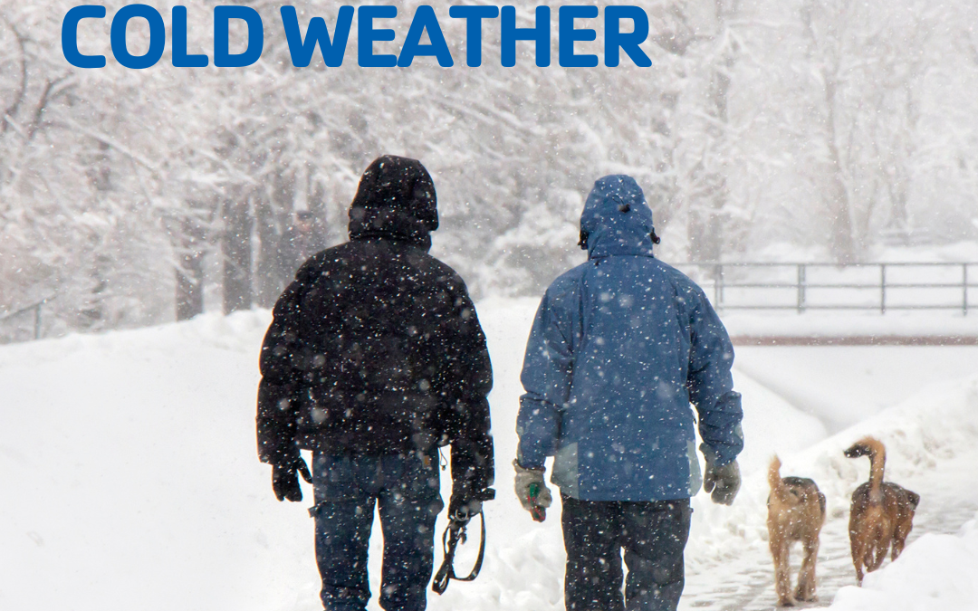 Stay Safe This Winter: Essential Tips for Cold Weather Hazards