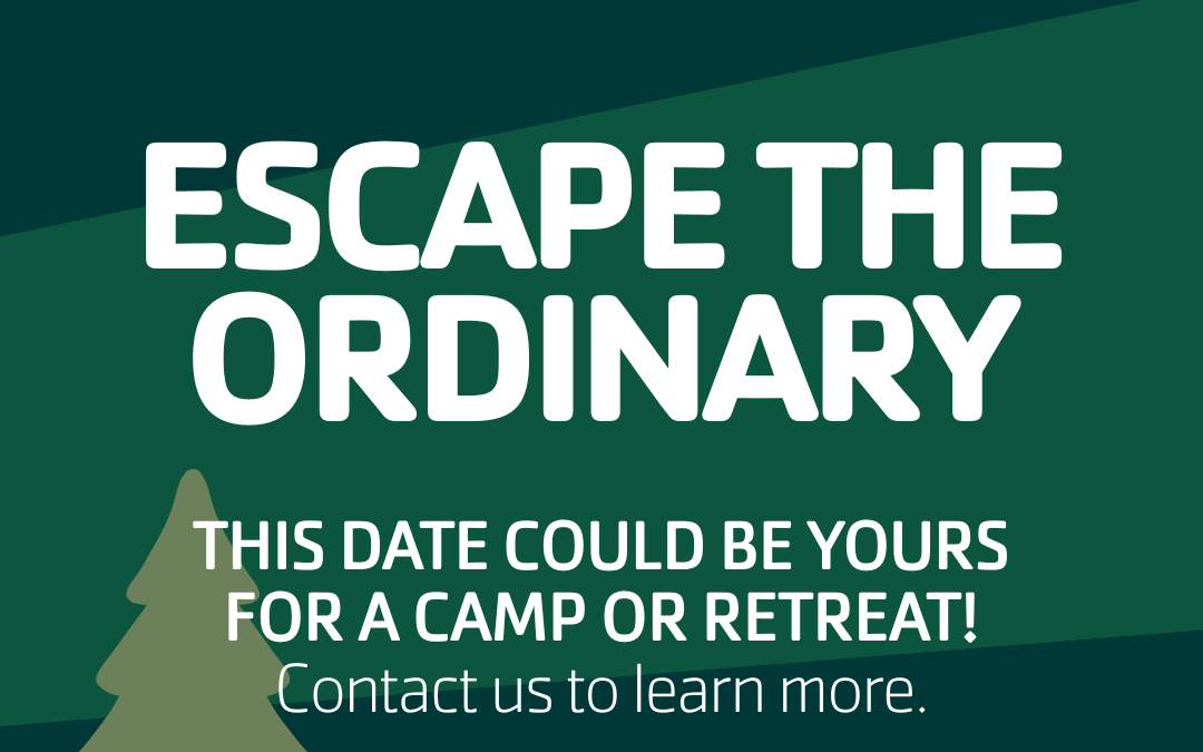 Y Camp Availability